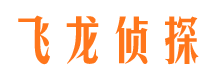 六安婚外情调查